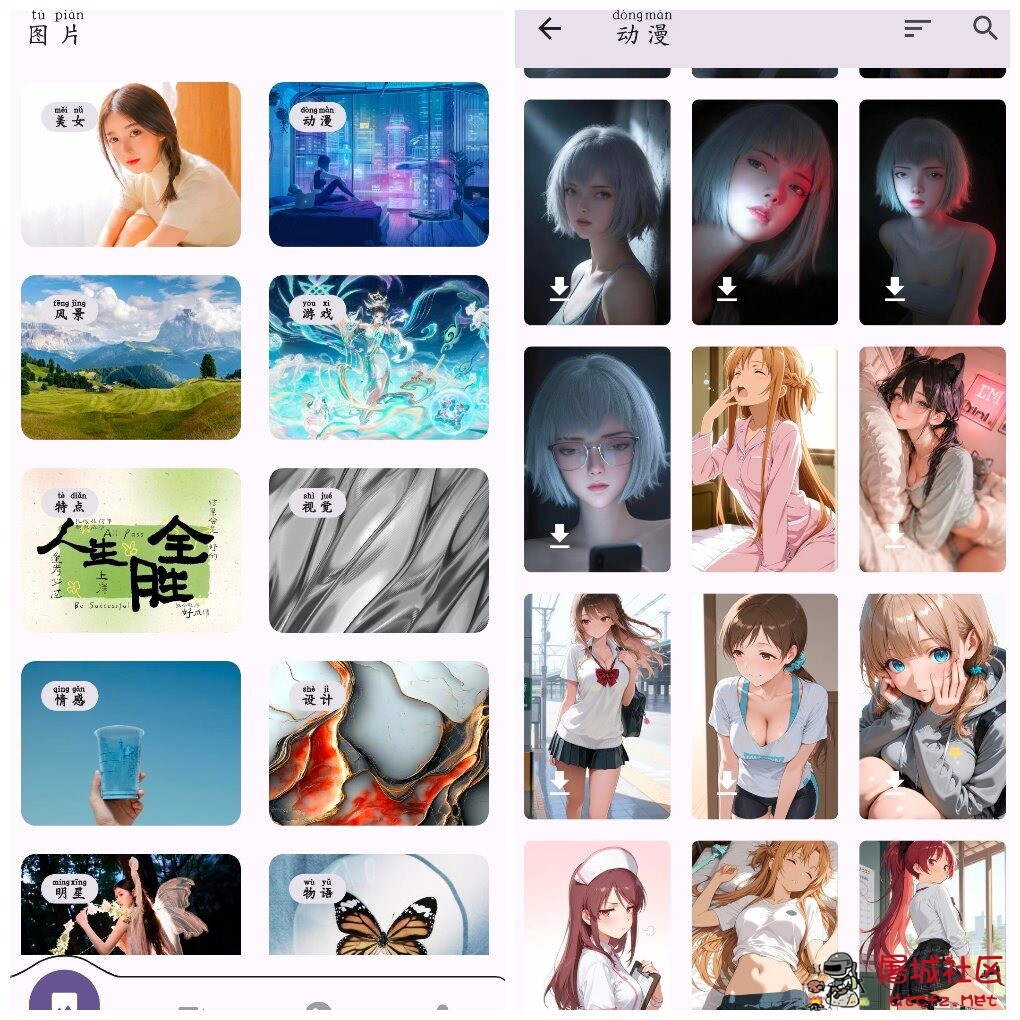 高清壁纸大全v1.0.11  海量超清静态动态壁纸资源 TC辅助网www.tcsq1.com8415